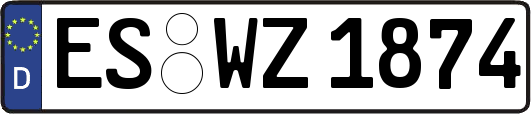 ES-WZ1874