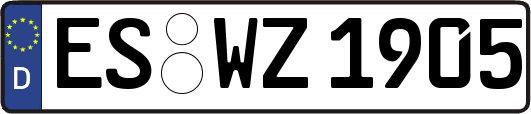 ES-WZ1905