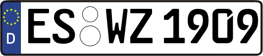 ES-WZ1909
