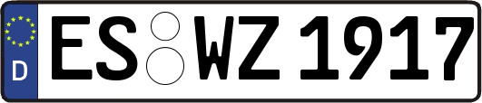 ES-WZ1917