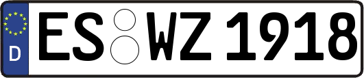 ES-WZ1918