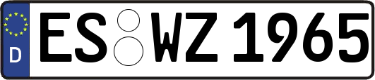 ES-WZ1965