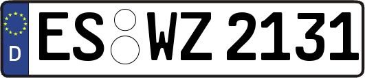 ES-WZ2131