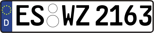 ES-WZ2163