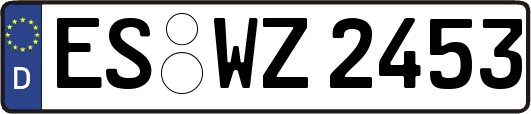 ES-WZ2453