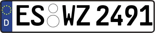 ES-WZ2491