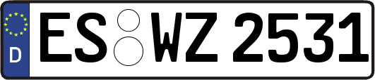 ES-WZ2531