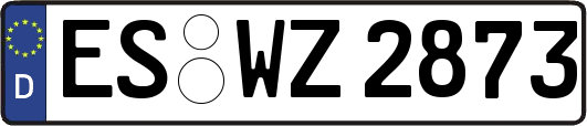 ES-WZ2873