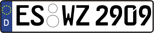 ES-WZ2909