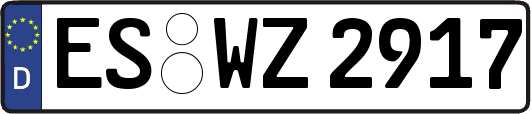 ES-WZ2917
