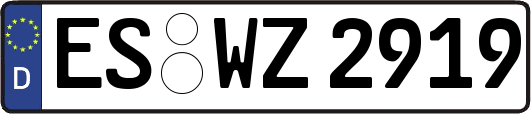 ES-WZ2919