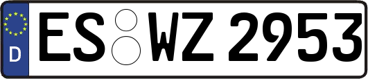 ES-WZ2953