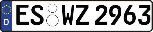 ES-WZ2963