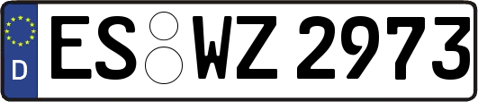 ES-WZ2973