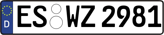 ES-WZ2981
