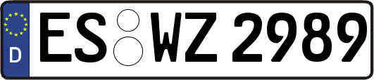 ES-WZ2989