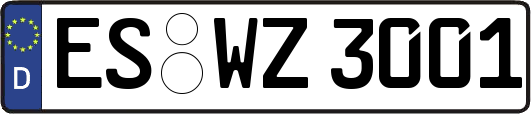 ES-WZ3001