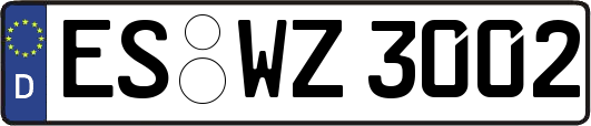 ES-WZ3002