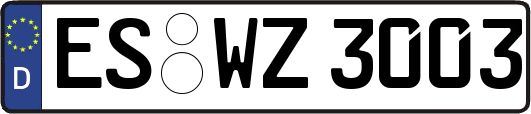 ES-WZ3003
