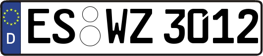 ES-WZ3012