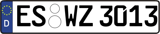 ES-WZ3013