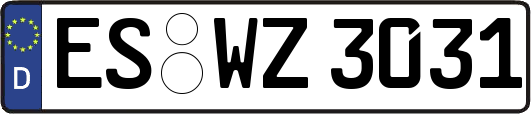 ES-WZ3031