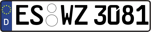 ES-WZ3081