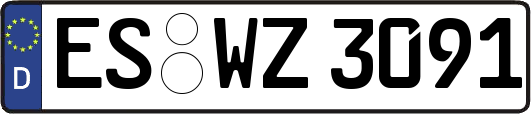 ES-WZ3091