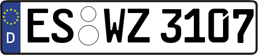 ES-WZ3107