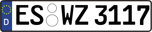 ES-WZ3117
