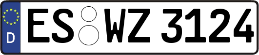 ES-WZ3124