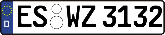 ES-WZ3132