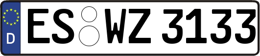 ES-WZ3133