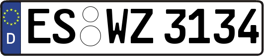 ES-WZ3134
