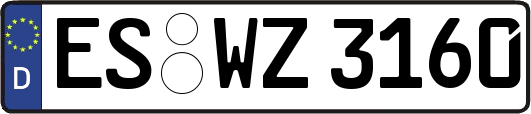 ES-WZ3160