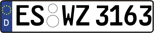 ES-WZ3163
