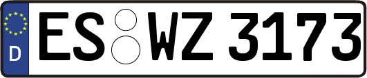 ES-WZ3173