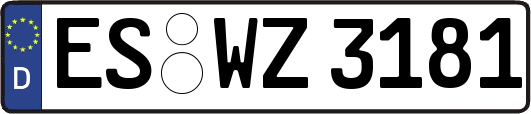 ES-WZ3181
