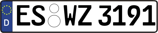 ES-WZ3191