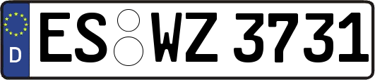 ES-WZ3731