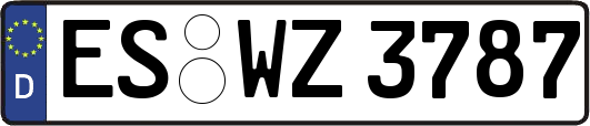 ES-WZ3787