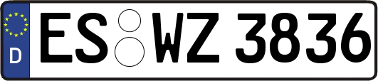 ES-WZ3836
