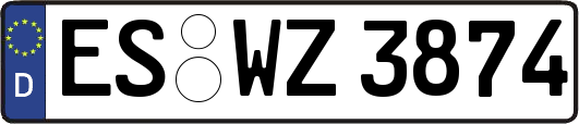 ES-WZ3874