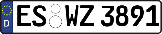ES-WZ3891