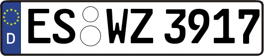 ES-WZ3917