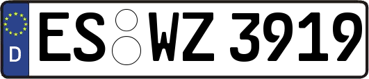 ES-WZ3919