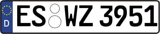 ES-WZ3951
