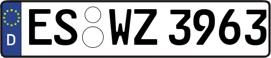 ES-WZ3963