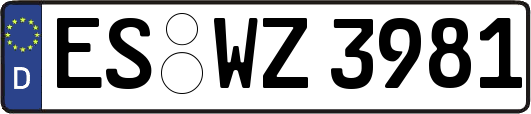 ES-WZ3981
