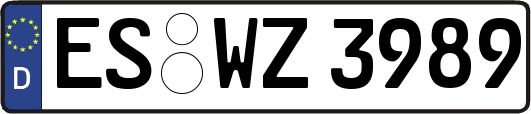ES-WZ3989
